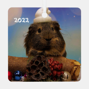 Niedliche Guinea Schweine in Weihnachtsmannmütze Ornament Aus Metall