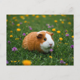 Niedliche Guinea Schweinegrippe Blume Gras Naturka Postkarte