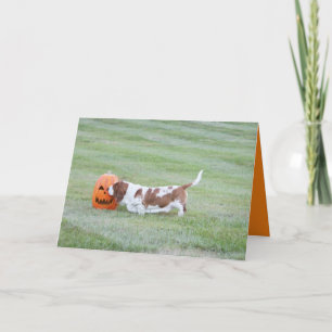 Niedliche Halloween Card W/Funny Basset Hound & Pu Karte