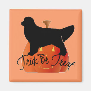 Niedliche Halloween-Golden Retriever Magnet