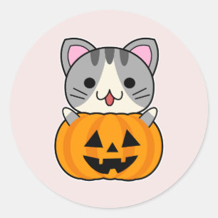 Niedliche Halloween-Katze in Kürbislaterne Runder Aufkleber
