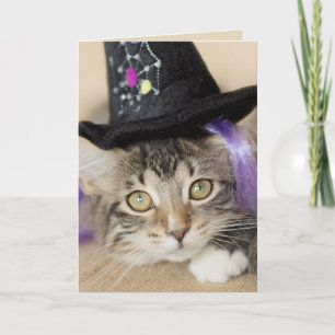 Niedliche Halloween Kitten Hexe Karte