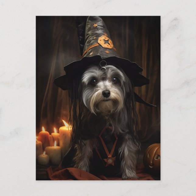 Niedliche Halloween-Postkarte Postkarte (Vorderseite)