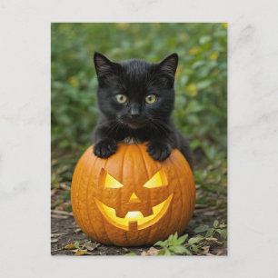 Niedliche Halloween-Rückenkatze und Kürbislaterne Feiertagspostkarte