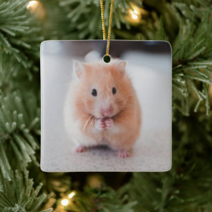 Niedliche Hamster-Liebe Keramikornament