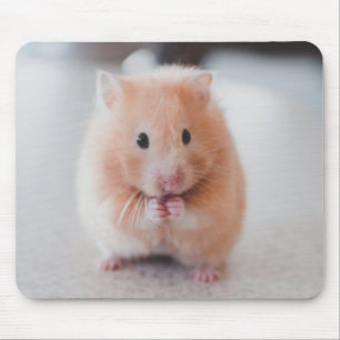 Niedliche Hamster-Liebe Mousepad