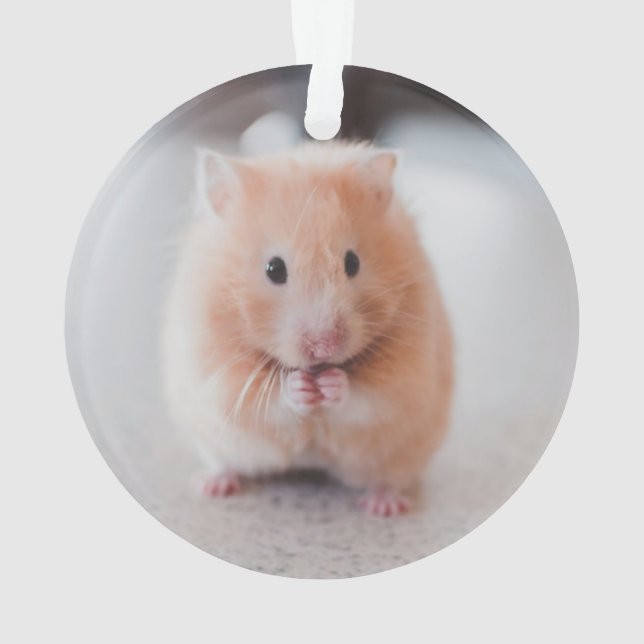 Niedliche Hamster-Liebe Ornament (Rückseite)