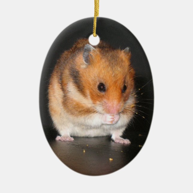 Niedliche Hamsterverzierung Keramikornament (Vorne)