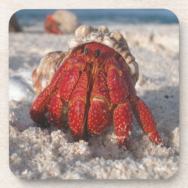 Niedliche Hermit Crab am weißen Sandstrand Getränkeuntersetzer (Vorderseite)