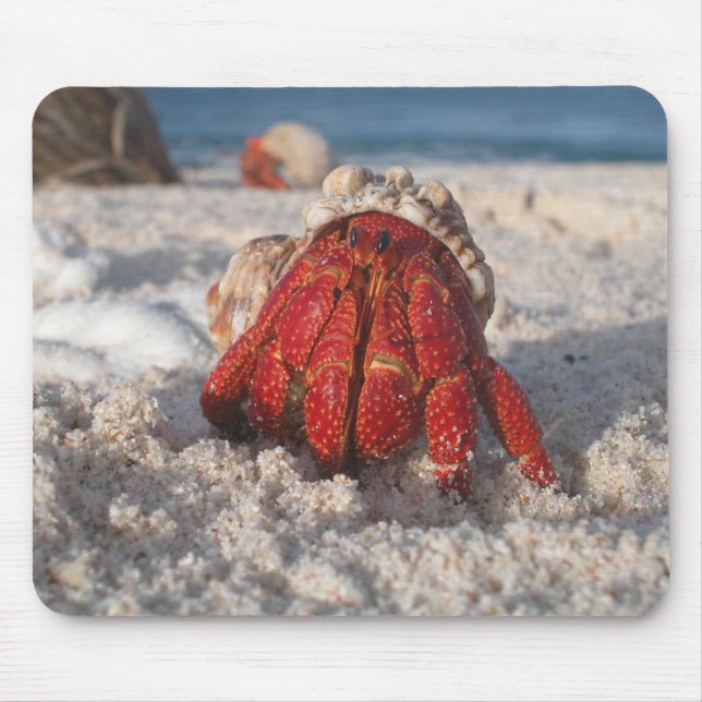 Niedliche Hermit Crab am weißen Sandstrand Mousepad (Vorne)