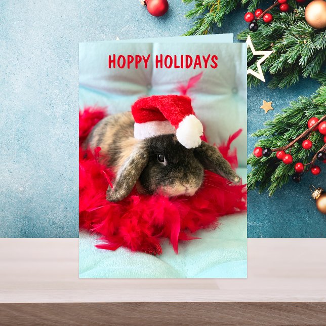 Niedliche Holland Lop Weihnachtskarte Karte (Von Creator hochgeladen)