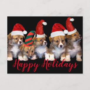 Niedliche Hunde Happy Holidays Weihnachten Postkarte