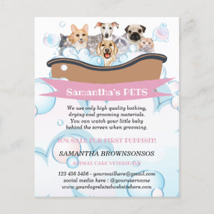 Niedliche Hunde Katzen Wellness-Center Sitter Groo Flyer