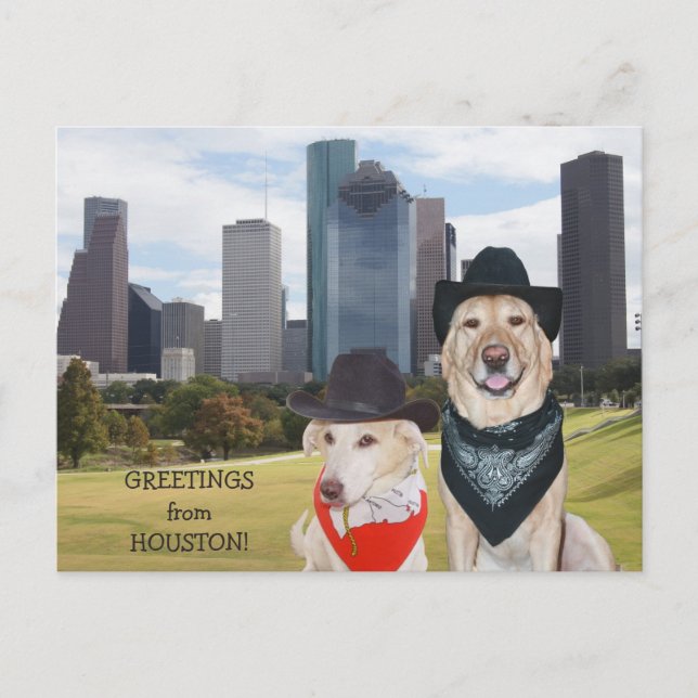 Niedliche Hunde/Labrador-Grüße von Houston Postkarte (Vorderseite)