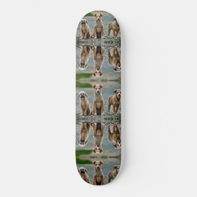 Niedliche Hunde Skateboard (Vorderseite)