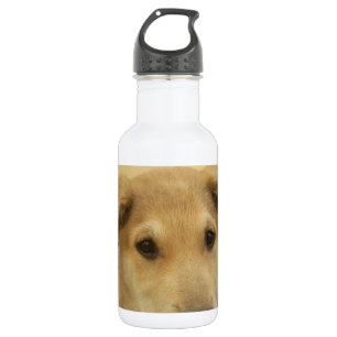 Niedliche Hunde und Welpen Mans Second Best Friend Edelstahlflasche
