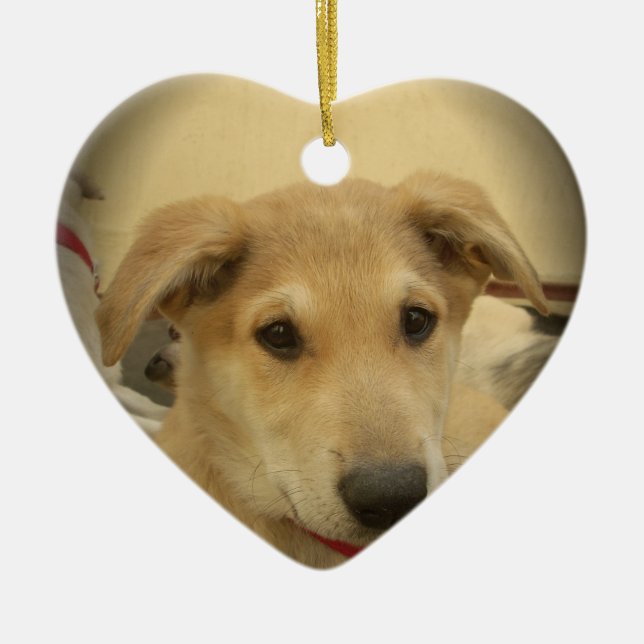 Niedliche Hunde und Welpen Mans Second Best Friend Keramik Ornament (Vorne)