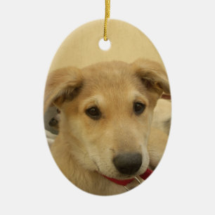 Niedliche Hunde und Welpen Mans Second Best Friend Keramikornament