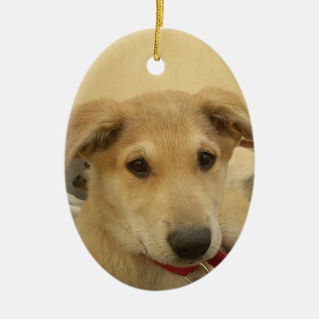 Niedliche Hunde und Welpen Mans Second Best Friend Keramikornament (Vorne)