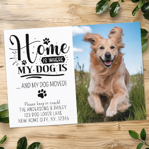 Niedliche Hundebewegung haben wir angepasstes Foto Ankündigung