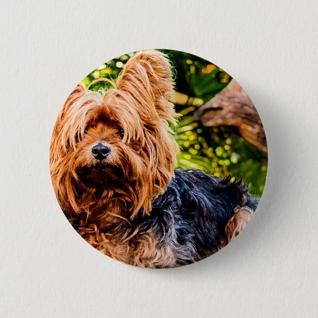 Niedliche Hundehaustier Yorkie Button (Vorderseite)