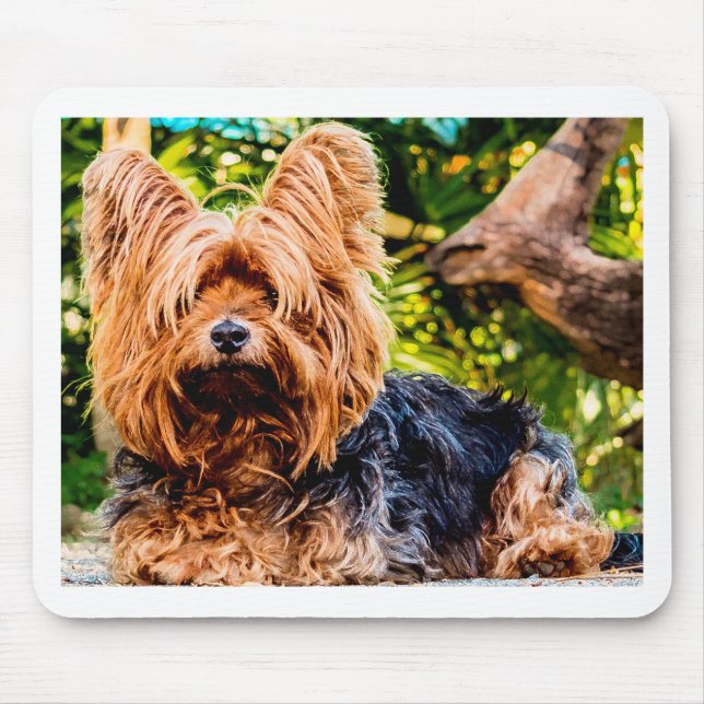 Niedliche Hundehaustier Yorkie Mousepad (Vorne)