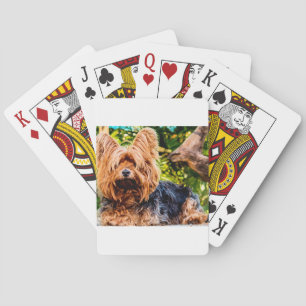 Niedliche Hundehaustier Yorkie Spielkarten