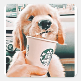 Niedliche Hundekleber Quadratischer Aufkleber