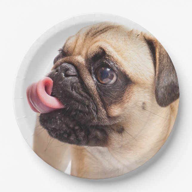 Niedliche Hundepapier-Teller 4 Pappteller (Vorderseite)