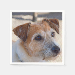 Niedliche Hundeservietten Serviette