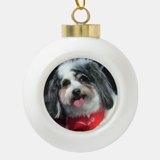 Niedliche Hundeweihnachtsverzierung, Schal K-Cee Keramik Kugel-Ornament (Vorderseite)