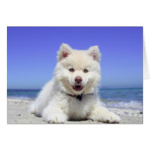 Niedliche Husky-Welpe auf Beach Blank Card