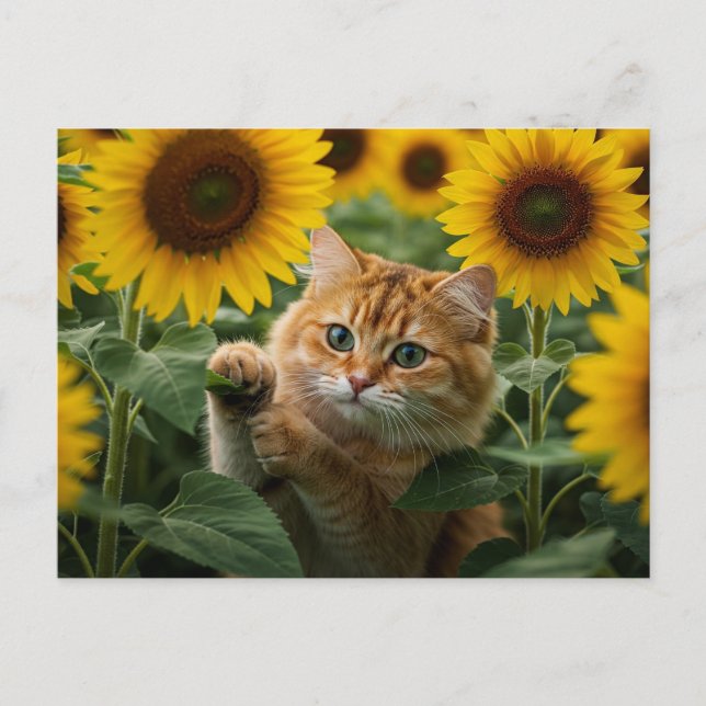 Niedliche Ingwer Katze in Sonnenblumen Postkarte (Vorderseite)