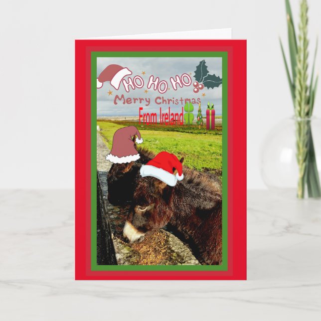 Niedliche Irish Santa Donkeys Weihnachtskarte Feiertagskarte (Vorderseite)