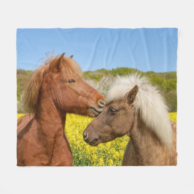 Niedliche isländische Pferde in einer Frühlingswie Fleecedecke (Vorderseite (Horizontal))