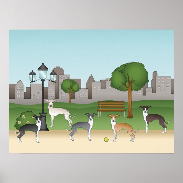 Niedliche italienische Greyhound Hunde im Park Car Poster (Vorne)