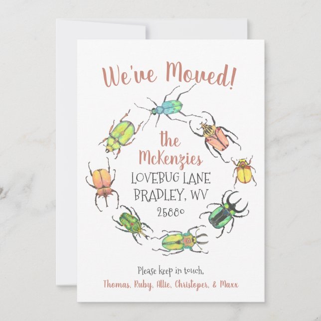 Niedliche Käfer Ankündigung (Vorderseite)