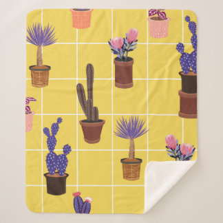 Niedliche Kakteen in vielen Töpfen  Sherpadecke