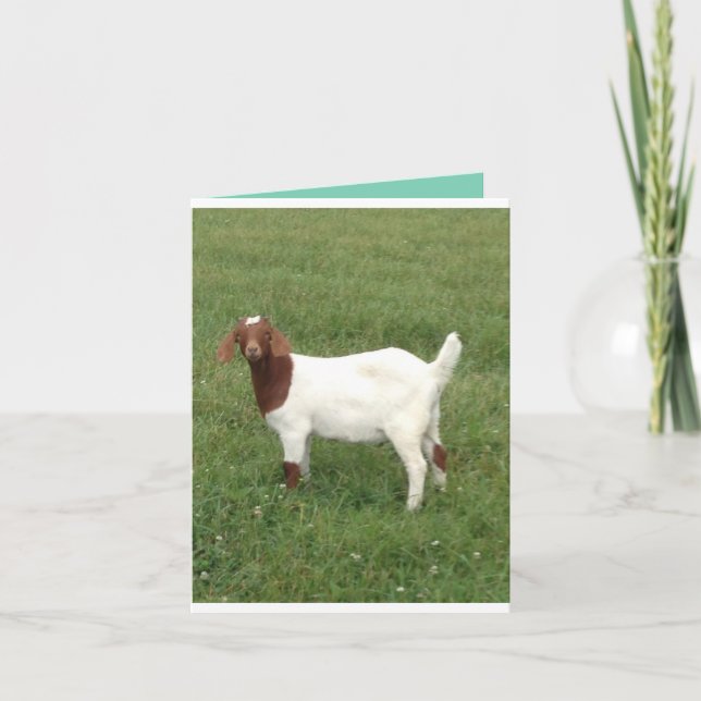 Niedliche Karte abholen (Vorderseite)