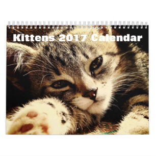 Niedliche Kätzchen 2017 Kalender