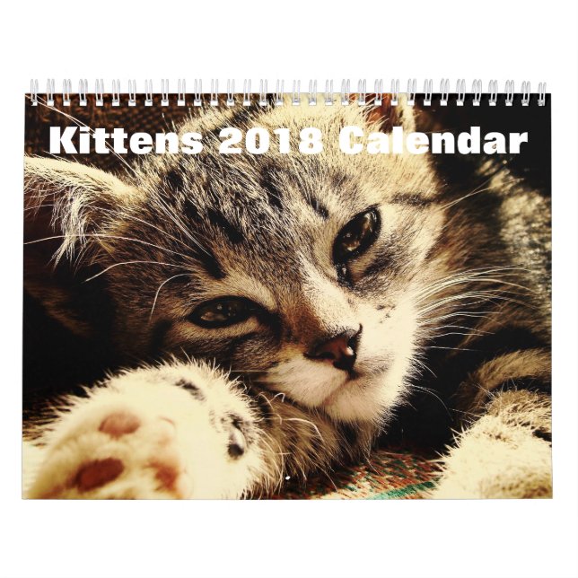 Niedliche Kätzchen 2018 Kalender (Titelbild)
