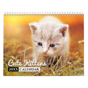 Niedliche Kätzchen 2022 Foto Mauerkalender Kalender