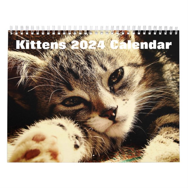 Niedliche Kätzchen 2024 Kalender (Titelbild)