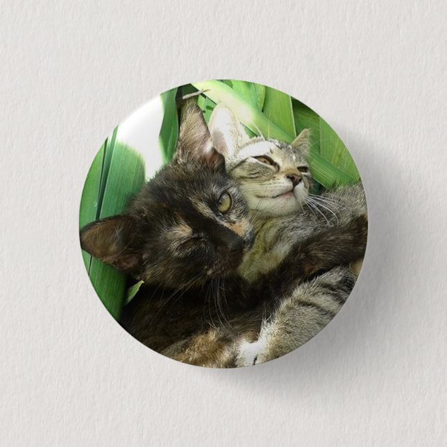 Niedliche Kätzchen Button (Vorderseite)