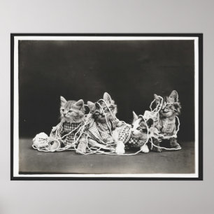 Niedliche Kätzchen in Garnkunst drucken Poster