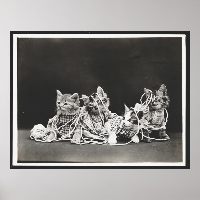 Niedliche Kätzchen in Garnkunst drucken Poster (Vorne)