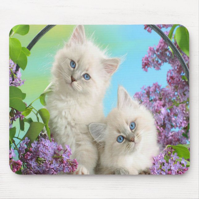 Niedliche Kätzchen Mousepad (Vorne)
