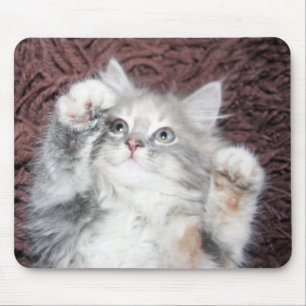niedliche KätzchenMausunterlage Mousepad