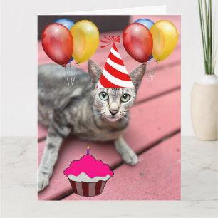 NIEDLICHE KATZE BIRTHDAY GROSSE Grußkarte Karte