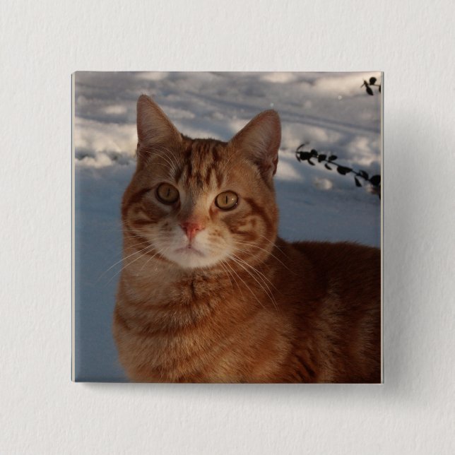 Niedliche Katze Button (Vorderseite)